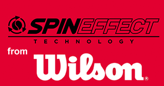 Spin Effect from Wilson