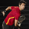 Novak Djokovic Collection