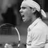 R. Nadal