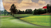 Bolle sunglasses - Action Sport Golf Collection