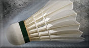 Babolat, Carlton, Head &Yonex (AS & Mavis) Badminton Shuttles