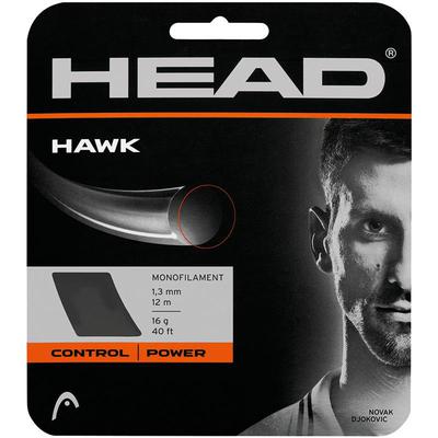 String Upgrade - Head Hawk - main image