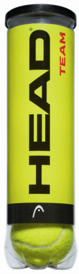 Head Team Tennis Balls