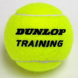 Dunlop Trainer balls (per doz)