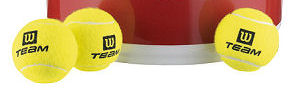 Wilson Trainer balls per doz