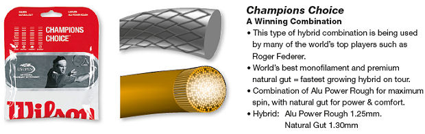 Wilson Champions choice hybrid strings