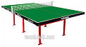 Butterfly Outdoor Park Table Tennis table SET - Green