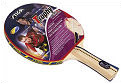 Stiga Trophy Oversize WRB Bat