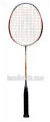 Ashaway Nano Electro Badminton Racket (rrp �100)