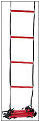 Wilson Coaching Aid (Training Ladder) (rrp �30)
