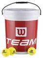 Wilson Trainer balls 6 Doz Bucket as low as �10 per doz