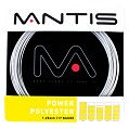 Mantis Power Polyester Tennis String- Set (Silver)