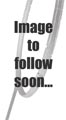 (pre-order) Carlton Tour International Wheelie Holdall- Yellow/Black