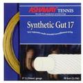 Ashaway Synthetic Gut 17 Squash Strings