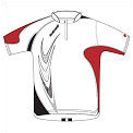 Babolat Mens Performance Half Zip Polo- White/Red