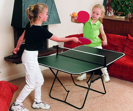 Butterfly Family Table Tennis Set -green