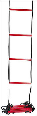 Wilson Coaching Aid (Training Ladder)