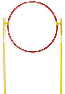 Wilson Coaching (Pole & Hoop Set)