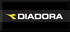 Diadora Mens Tennis Shoes