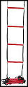 Wilson Coaching Aid (Training Ladder) (rrp �30)