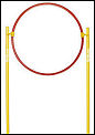 Wilson Coaching (Pole & Hoop Set)