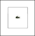 Lacoste Unisex Sentelie Wristband 08 White