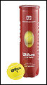 Wilson Championship Tennis Balls