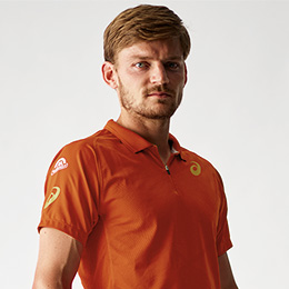 David Goffin