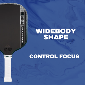 Control Pickleball Paddles