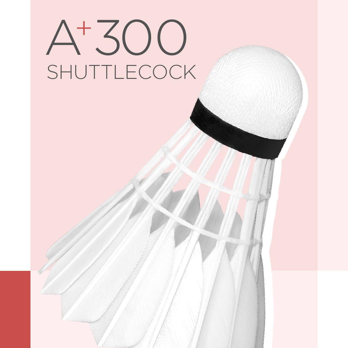 LiNing A+ 300 Badminton Shuttles