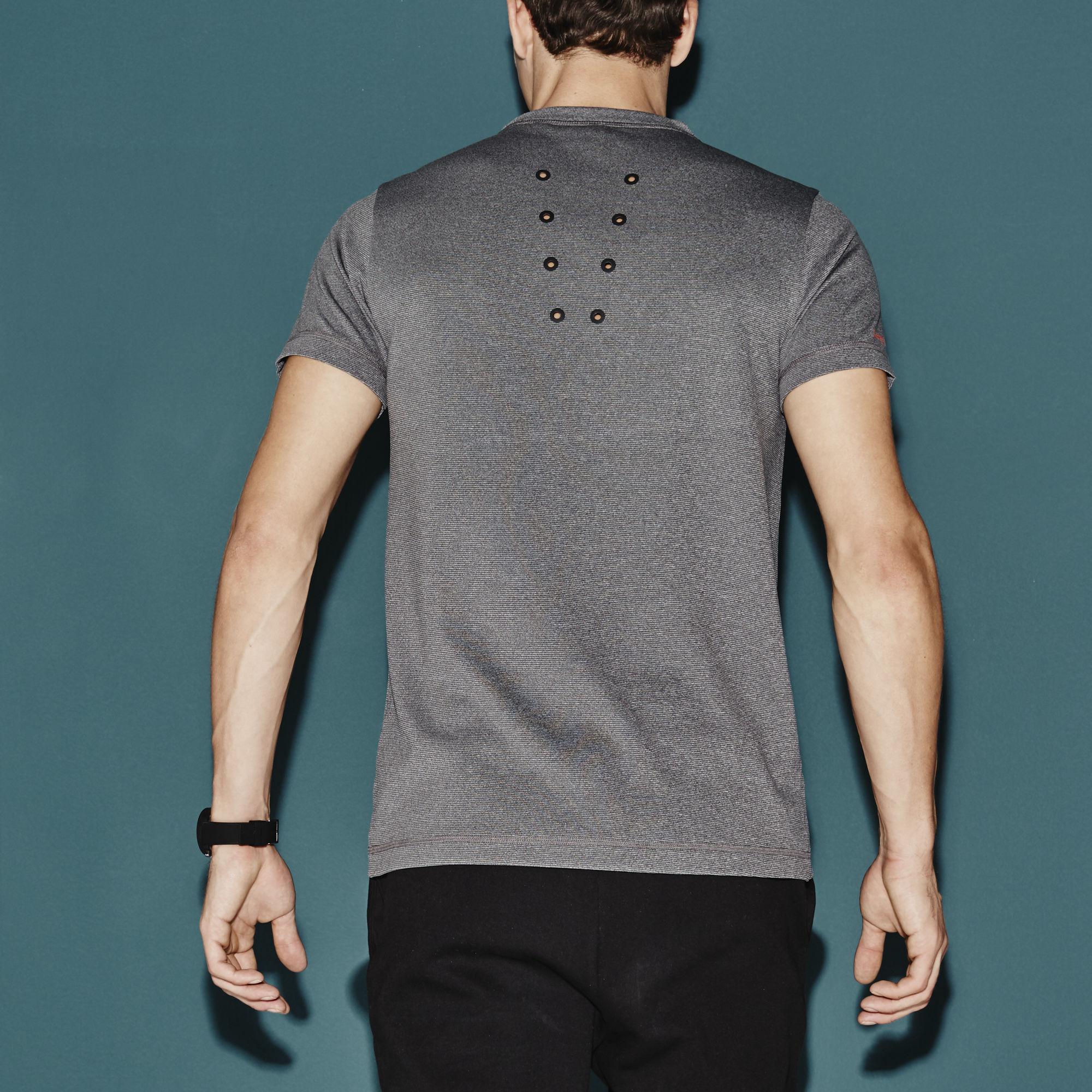 lacoste striped t shirt mens