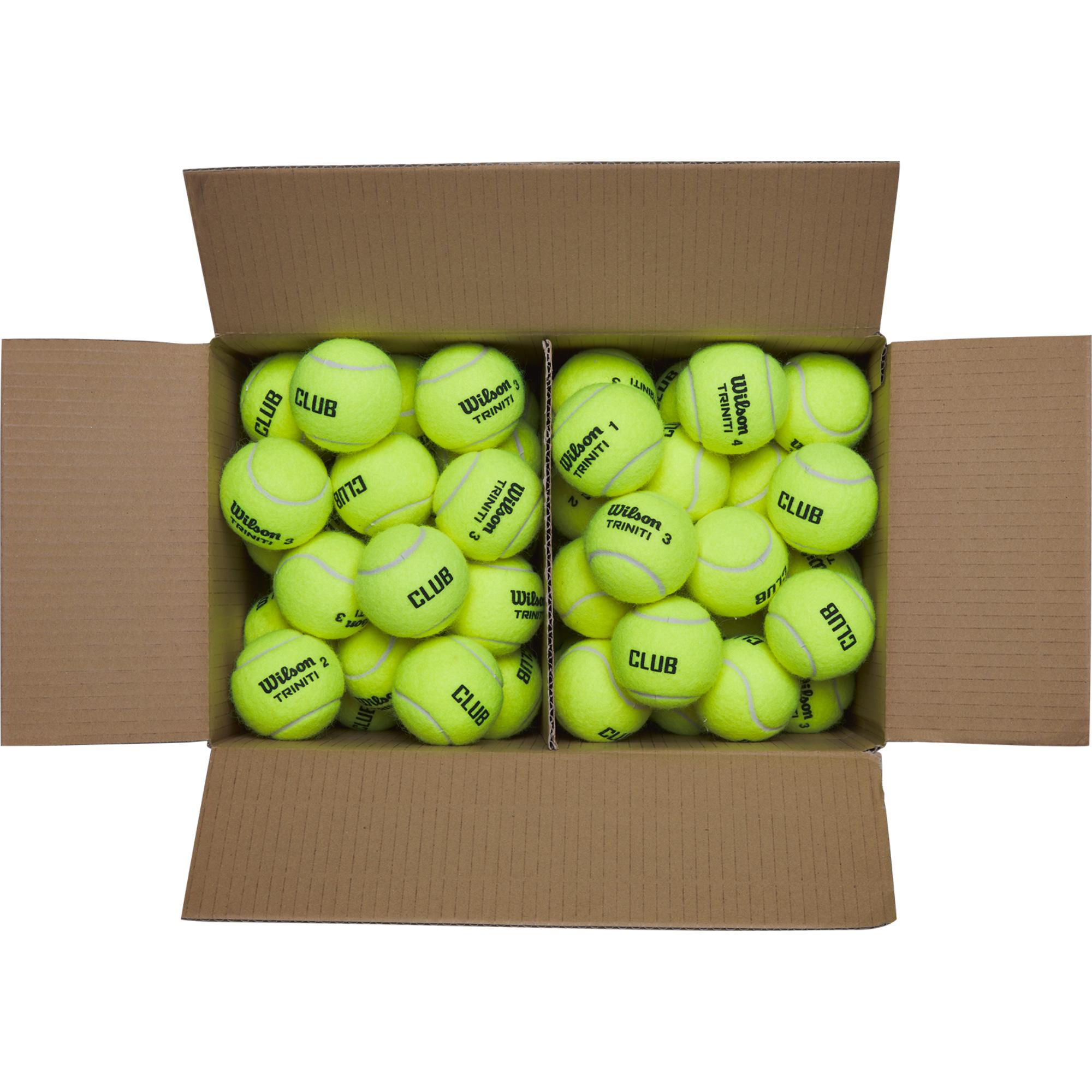 Wilson Triniti Club Tennis Balls Box of 6 Dozen Balls