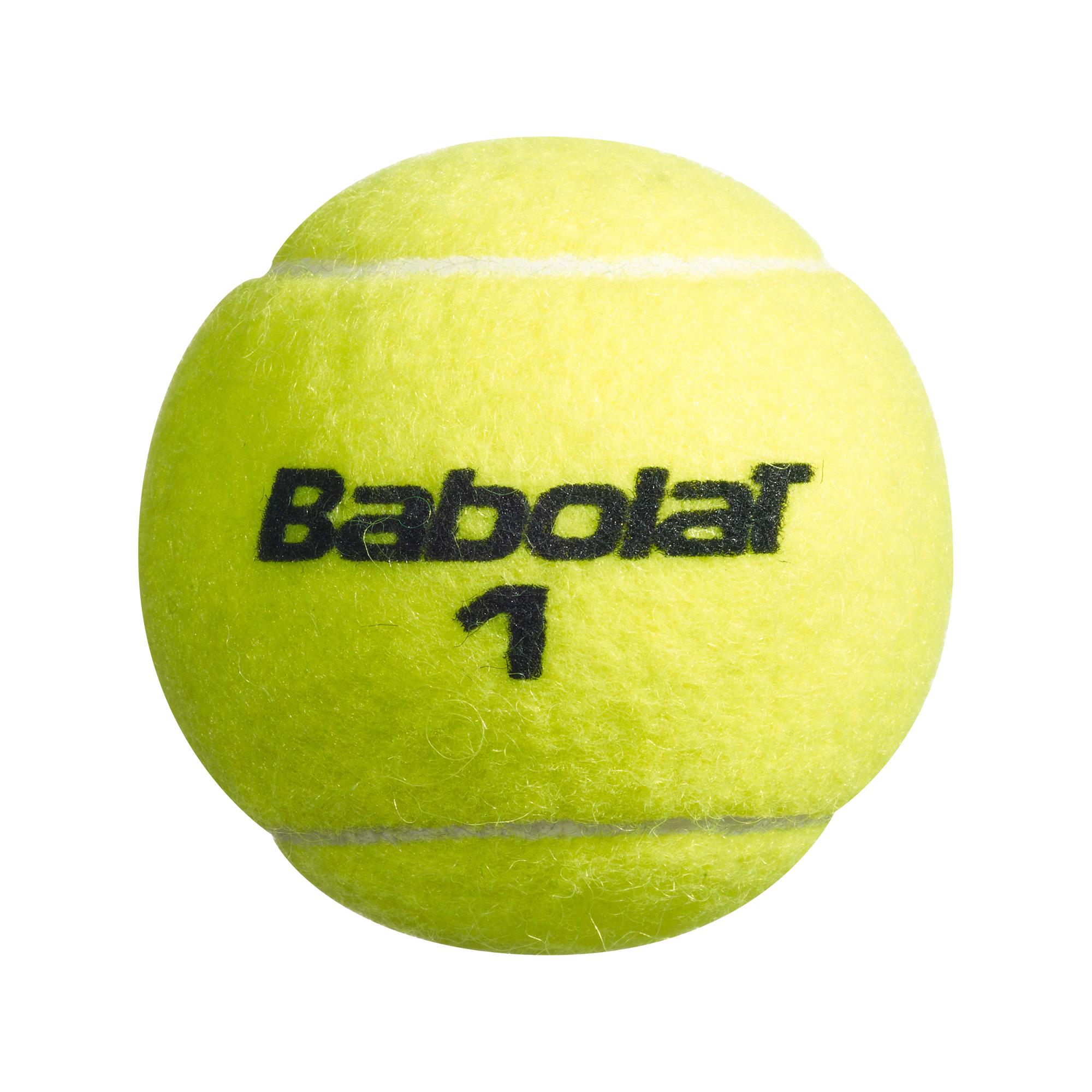 Babolat Championship Tennis Balls (3 Ball Can)