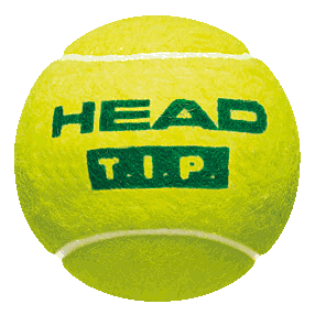 Head TIP Green Trainer Junior Tennis Balls (6 Dozen - 72 Balls)