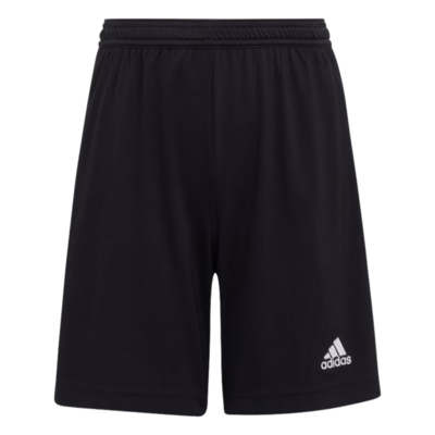 Adidas Boys ENT22 Training Shorts - Black - main image