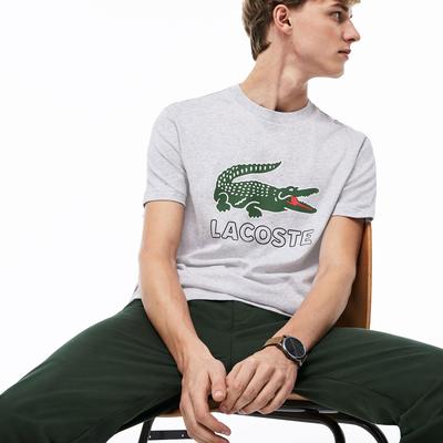 Lacoste Mens Logo T-Shirt - Silver Chine
