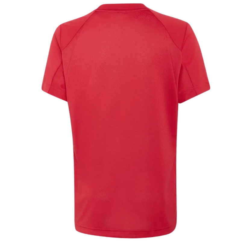 Adidas Boys Club T-Shirt - Pure Ruby - main image