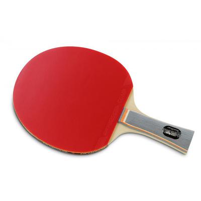 Ping-Pong Triumph Table Tennis Bat - main image