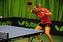 Butterfly National League Rollaway Indoor Table Tennis Table (22mm) - Green - thumbnail image 4