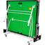 Butterfly Spirit Rollaway Indoor Table Tennis Table (16mm) - Green