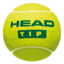 Head TIP Green Trainer Junior Tennis Balls (6 Dozen - 72 Balls)