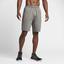 Nike Mens Dry Training Shorts - Dark Grey - thumbnail image 3