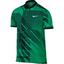 Nike Mens RF Advantage Tennis Polo - Stadium Green/Black - thumbnail image 1