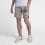 Nike Mens Flex Ace 9 Inch Shorts - Atmosphere Grey/Black - thumbnail image 5