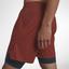Nike Mens Flex Ace 7 Inch 2-in-1 Tennis Shorts - Gridiron/Dune Red - thumbnail image 5