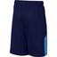 Nike Boys Dry Shorts - Blue Void - thumbnail image 2