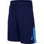 Nike Boys Dry Shorts - Blue Void - thumbnail image 1