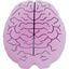 String Things Vibration Dampeners (Pack of 2) - Tennis Ball/Brain - thumbnail image 2