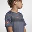 Nike Boys Rafa Tee - Light Carbon/Hyper Crimson - thumbnail image 5