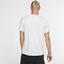 Nike Mens Dri-FIT Training Top - Birch Heather - thumbnail image 4